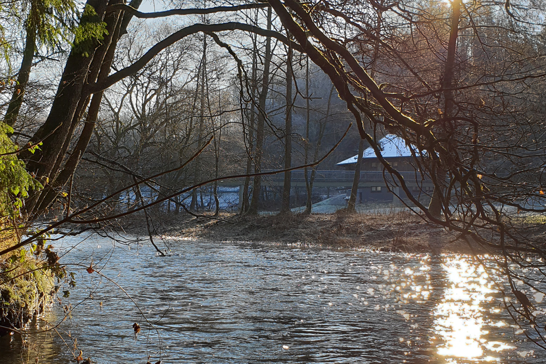 GalerieWilhelmsteg_Winter2019-11