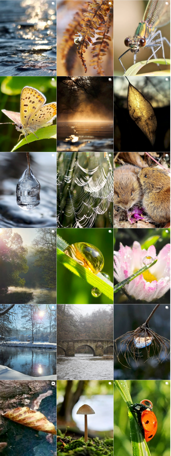 InstagramWilhelmsteg